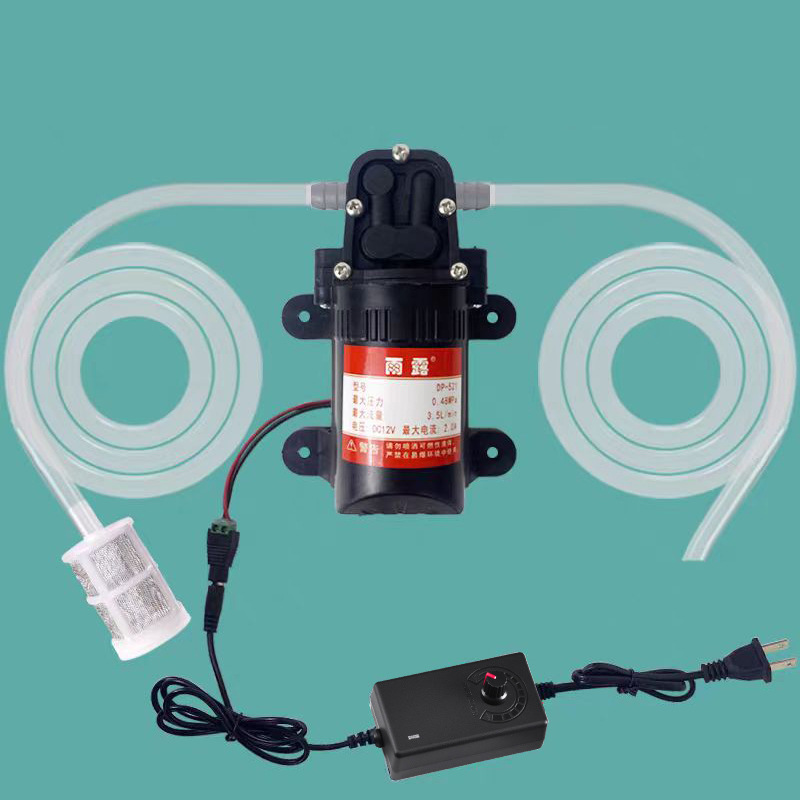 Mini Peristaltic Pump 12V - 12V 110V 220V Self-priming Pump Electric