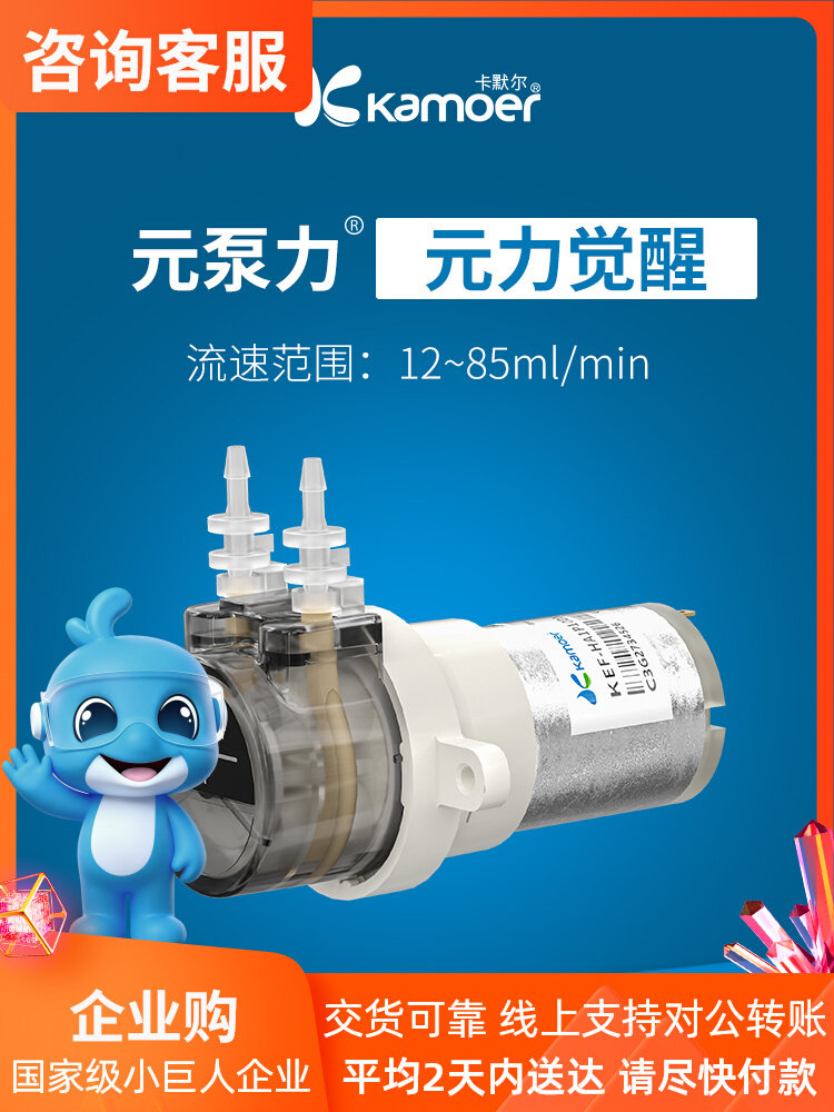 Kamler 12V Mini Self-Priming E - огляд і ціна Mini Peristaltic Pump 12V