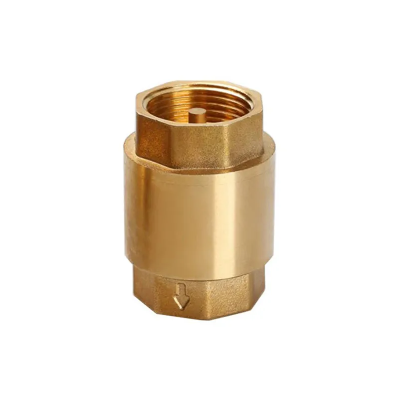 1pcs Brass Check Valve Thread  - огляд і ціна Vacuum Chamber Kit With Pump