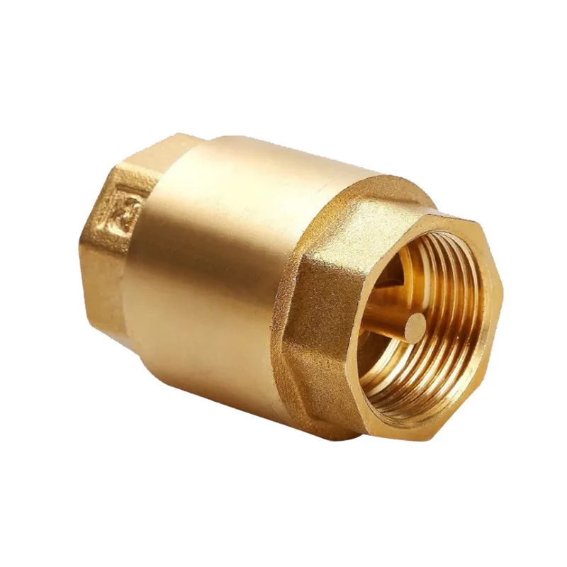 1pcs Brass Check Valve Thread  - огляд і ціна Vacuum Chamber Kit With Pump
